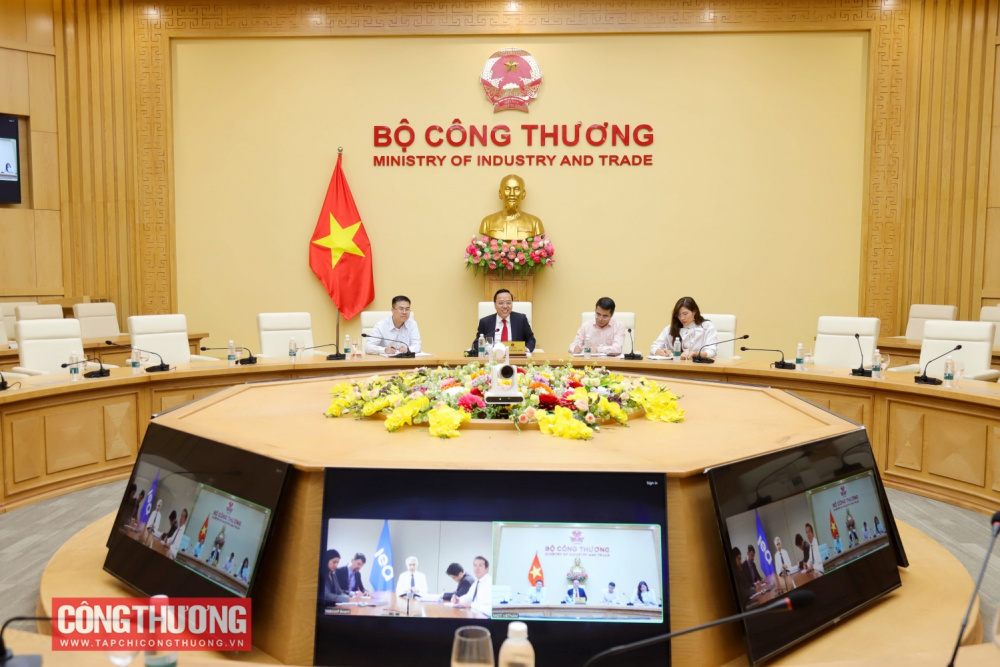 viet-nam-huong-toi-tro-thanh-quoc-gia-lien-ket-cua-co-quan-nang-luong-quoc-te_69369efb22af2 quốc gia liên kết